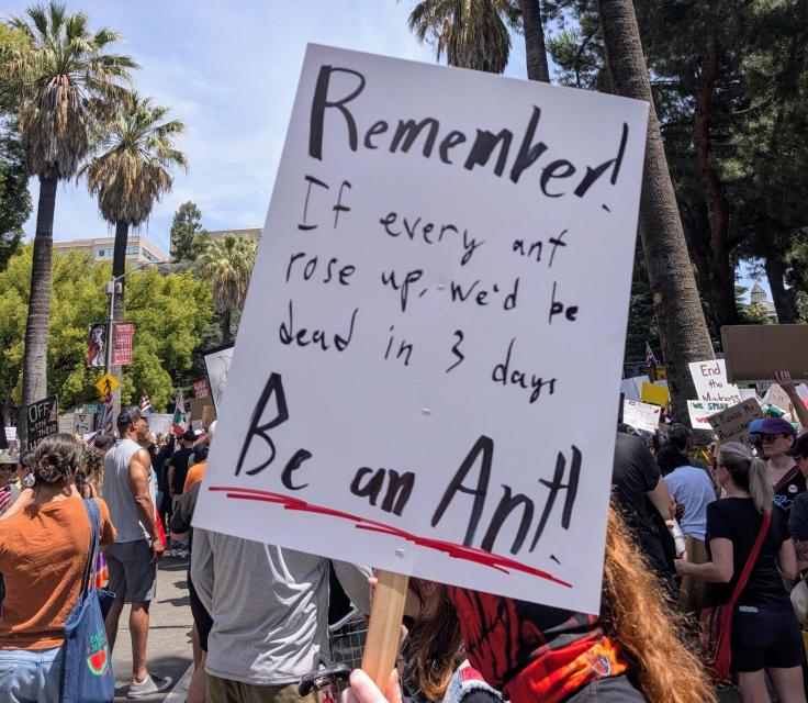 One of the many creative homemade signs at the Sacramento protest highlighting people power 