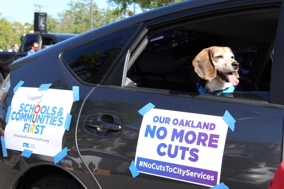 Dog in a car near signs reading NO MORE CUTS and SCHOOLS AND COMMUNITIES FIRST
